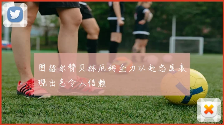 图赫尔赞贝林厄姆全力以赴态度表现出色令人信赖